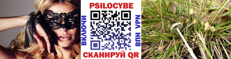 Галлюциногенные грибы мицелий  Купить  Воскресенск 